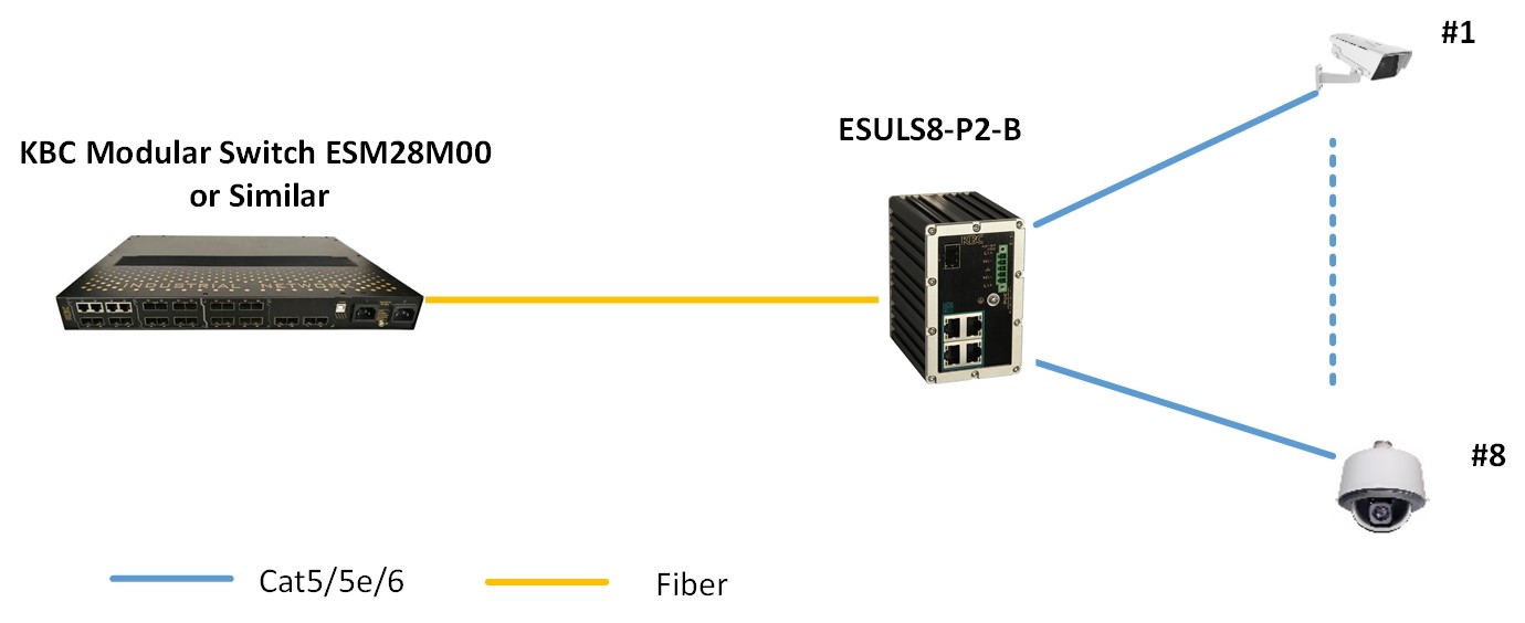 ESULS8 P2 B